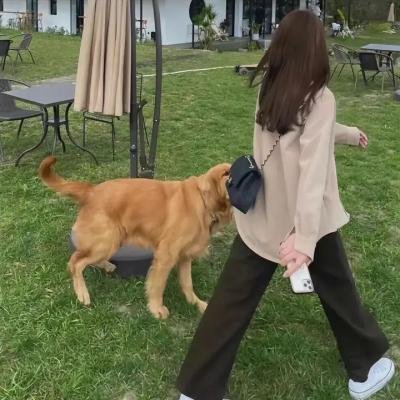 雾的子午线