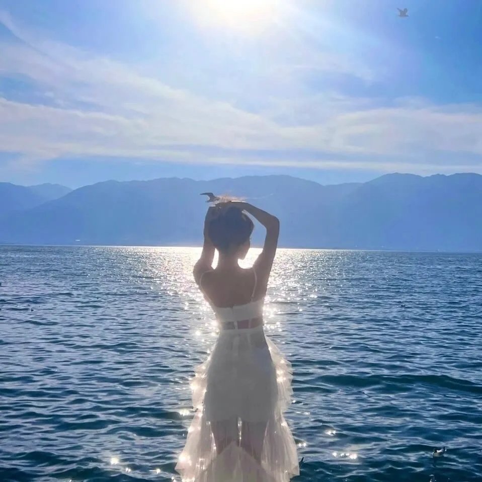 今年圣诞很挪威