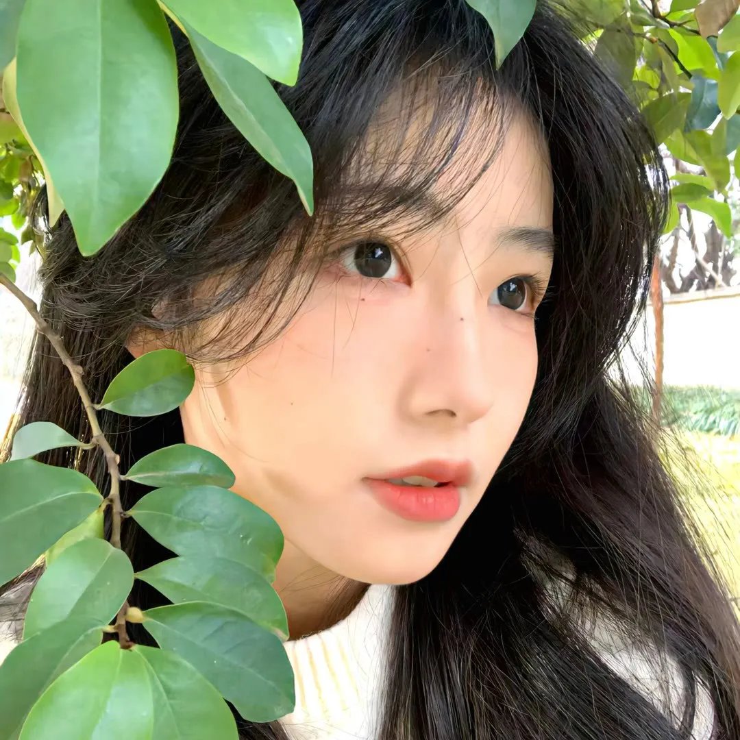 村花绽放重启人生